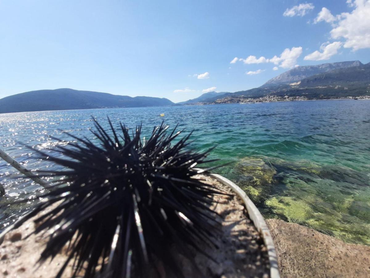 Casa De Laza Apartments Herceg Novi Bagian luar foto
